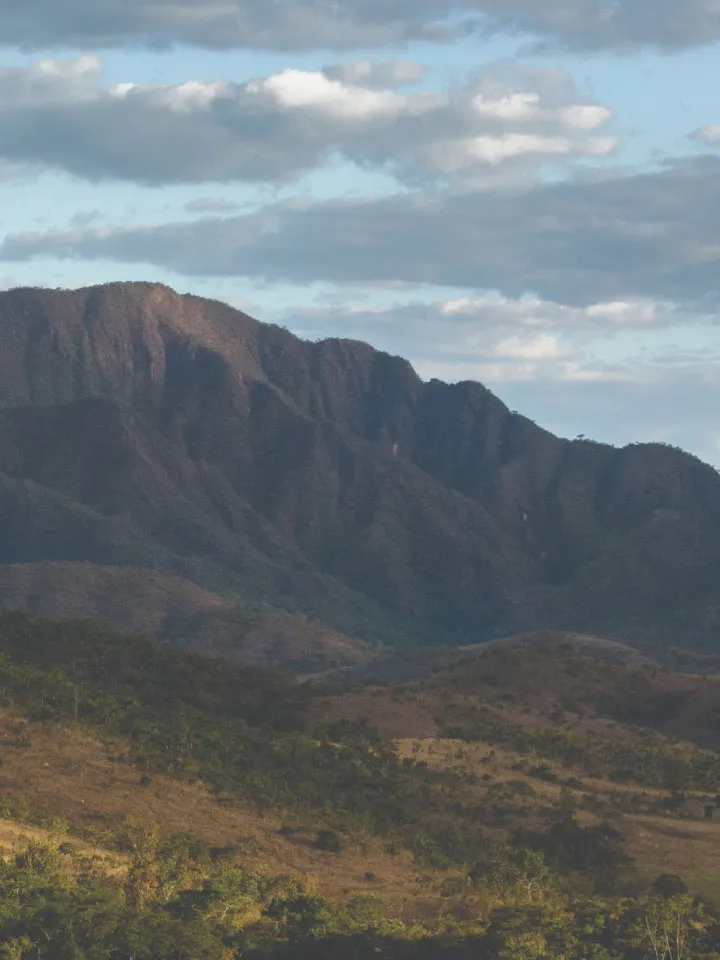 Cerrado field